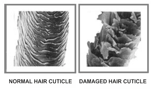 Normal hair cuticle vs damaged