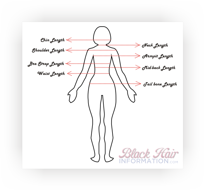 Hair lengths from neck length to tail bone length