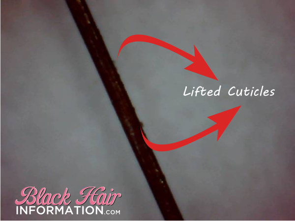 Hair flat ironed without heat protectant