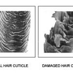 What Are Ceramides And What Do They Mean For Your Hair
