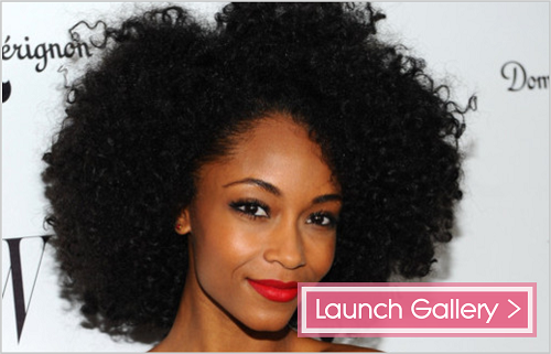 launch gallery - 12 Celebrities Rocking Their 4a And 4b Tresses