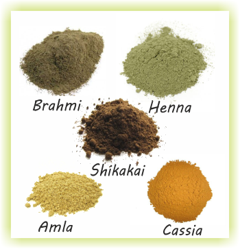 Various ayurvedic powders - Brahmi Henna Shikakai Amla Cassia