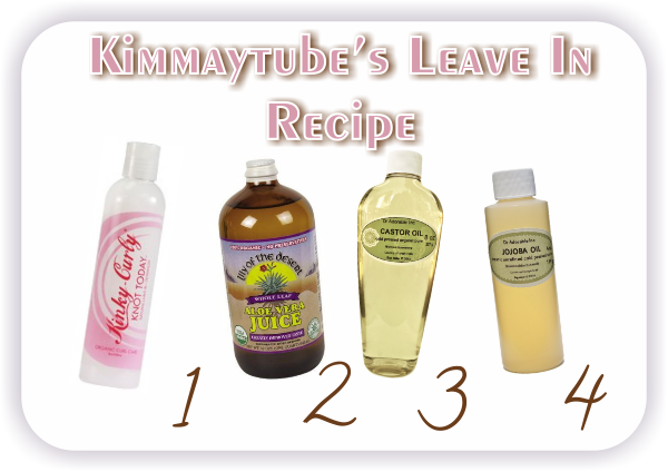 kimmaytubes leave in recipe