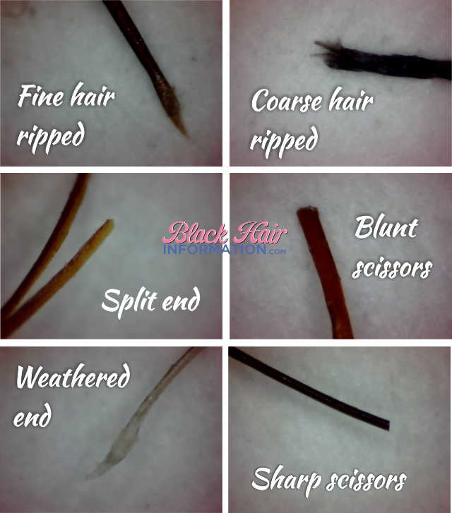 Types of hair ends, ripped, split, cut, blunt and weathered