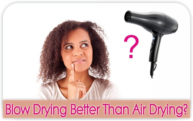 Hair dryer for 2025 natural black hair