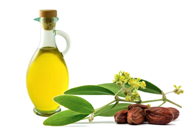 Jojoba oil