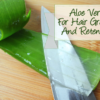 The Aloe Vera Plant For Hair Growth And Retention