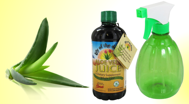 Aloe Vera Juice - Applied using a spray bottle