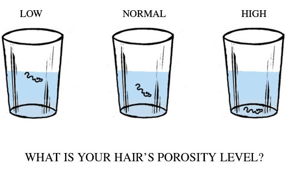 Hair Porosity 101 Types Tests and Treatments  Simply Organics