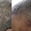 gray hair reversal
